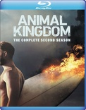 Animal Kingdom: The Complete Second Season