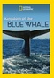 National Geographic: Kingdom of the Blue Whale
