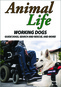 Animal Life: Working Dogs - Guide Dogs, Search and Rescue & More